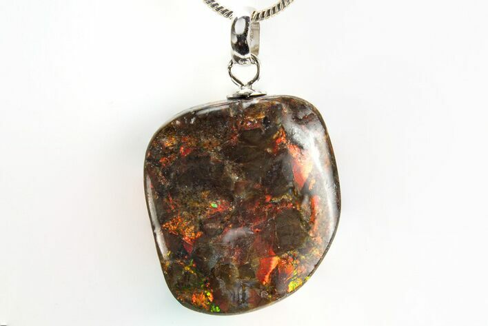 Brilliant Ammolite Pendant (Necklace) - Alberta, Canada #312491